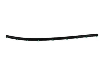 Hood Moulding - Chrysler Town And Country 2012-2016 | Ram Cargo-Van-Ram 2012-2015 | Dodge Caravan 2012-2020