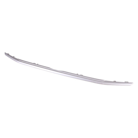 Grille Molding Lower Ptd Silver Gray - Ford Ecosport 2018-2022