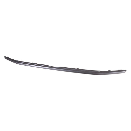 Grille Molding Lower Ptd Dark Gray - Ford Ecosport 2018-2022