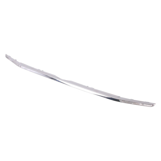 Grille Molding Lower Chrome - Ford Ecosport 2018-2022