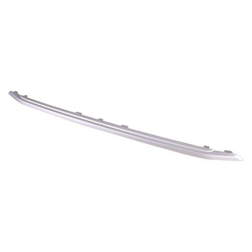 Grille Molding Upper Ptd Silver Gray - Ford Ecosport 2018-2022