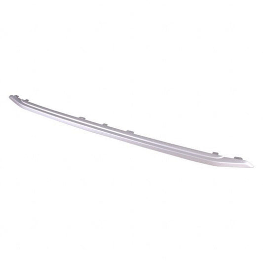 Grille Molding Upper Ptd Silver Gray - Ford Ecosport 2018-2022